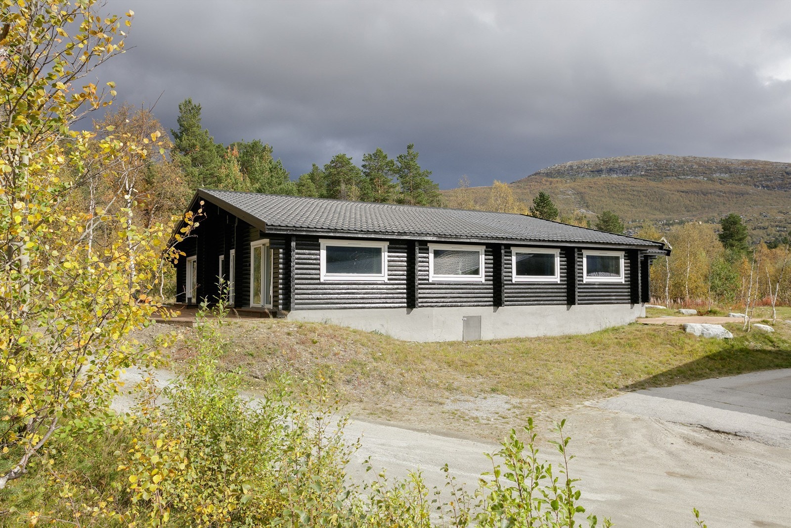 Fasade mot syd Galleribilde