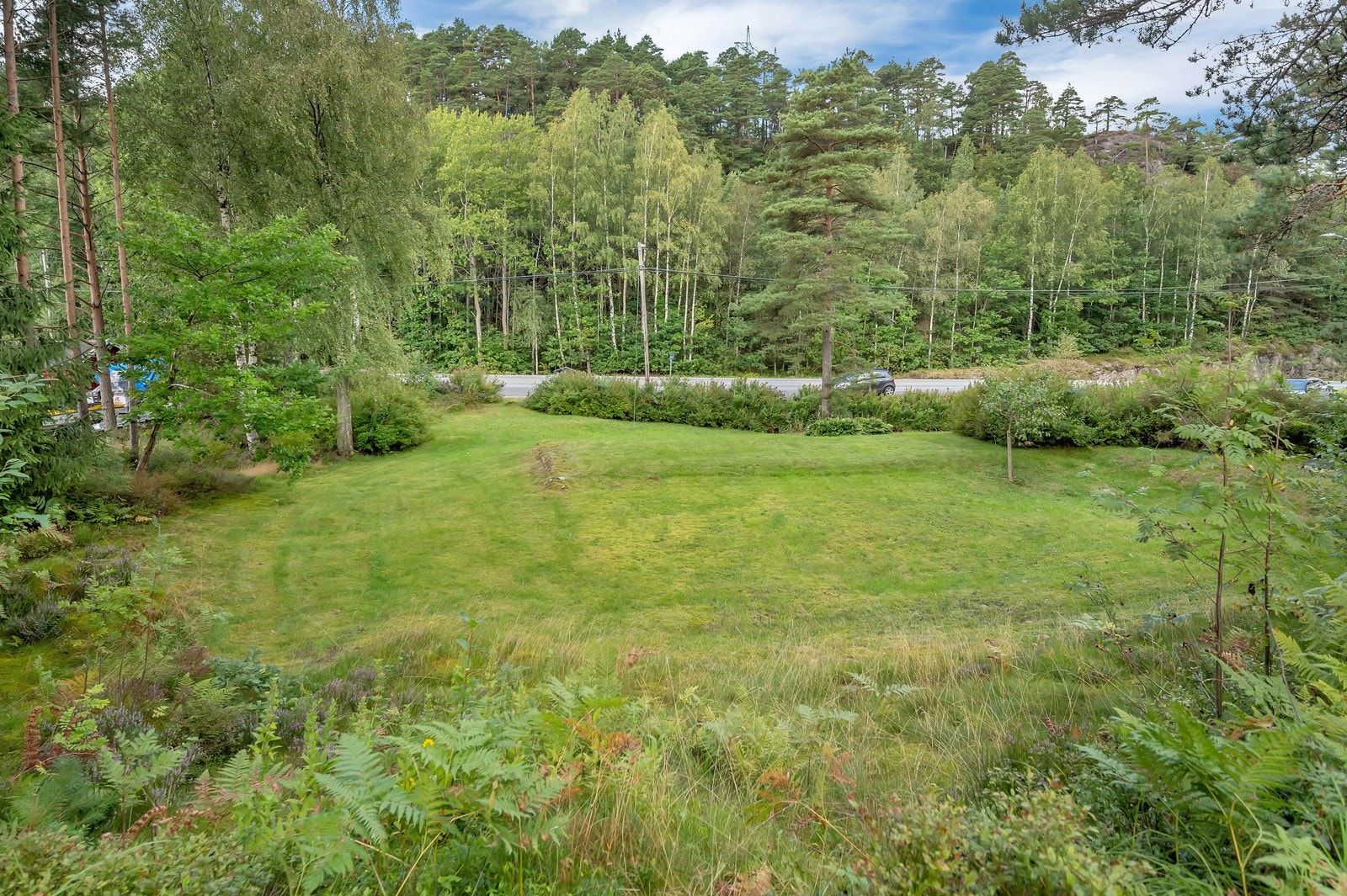 Gode muligheter med jord for dyrking av mat, beplantning og diverse Galleribilde