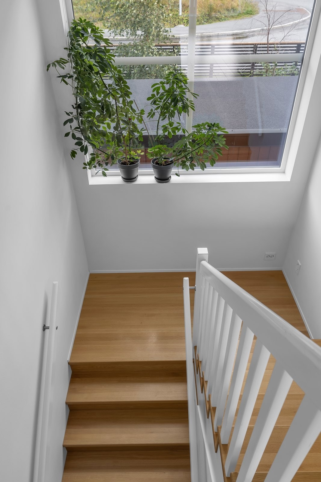 Trapp med eiketrinn og stort vindu som slipper inn mye lys. Galleribilde