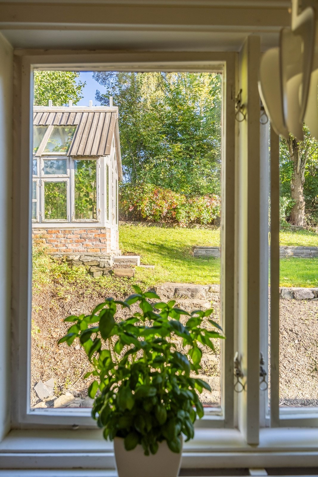 Hyggelig utsyn fra kjøkkenet mot drivhuset Galleribilde