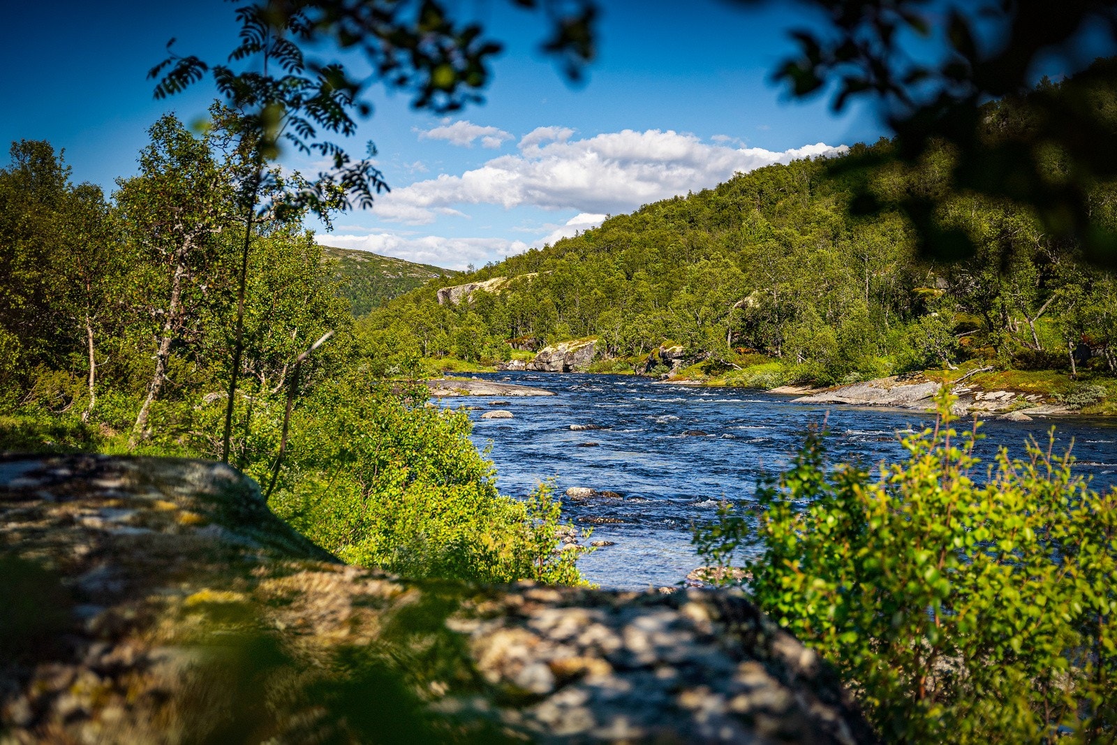 Fra tomten er det også nydelig å spasere ned til elver og vann. Galleribilde