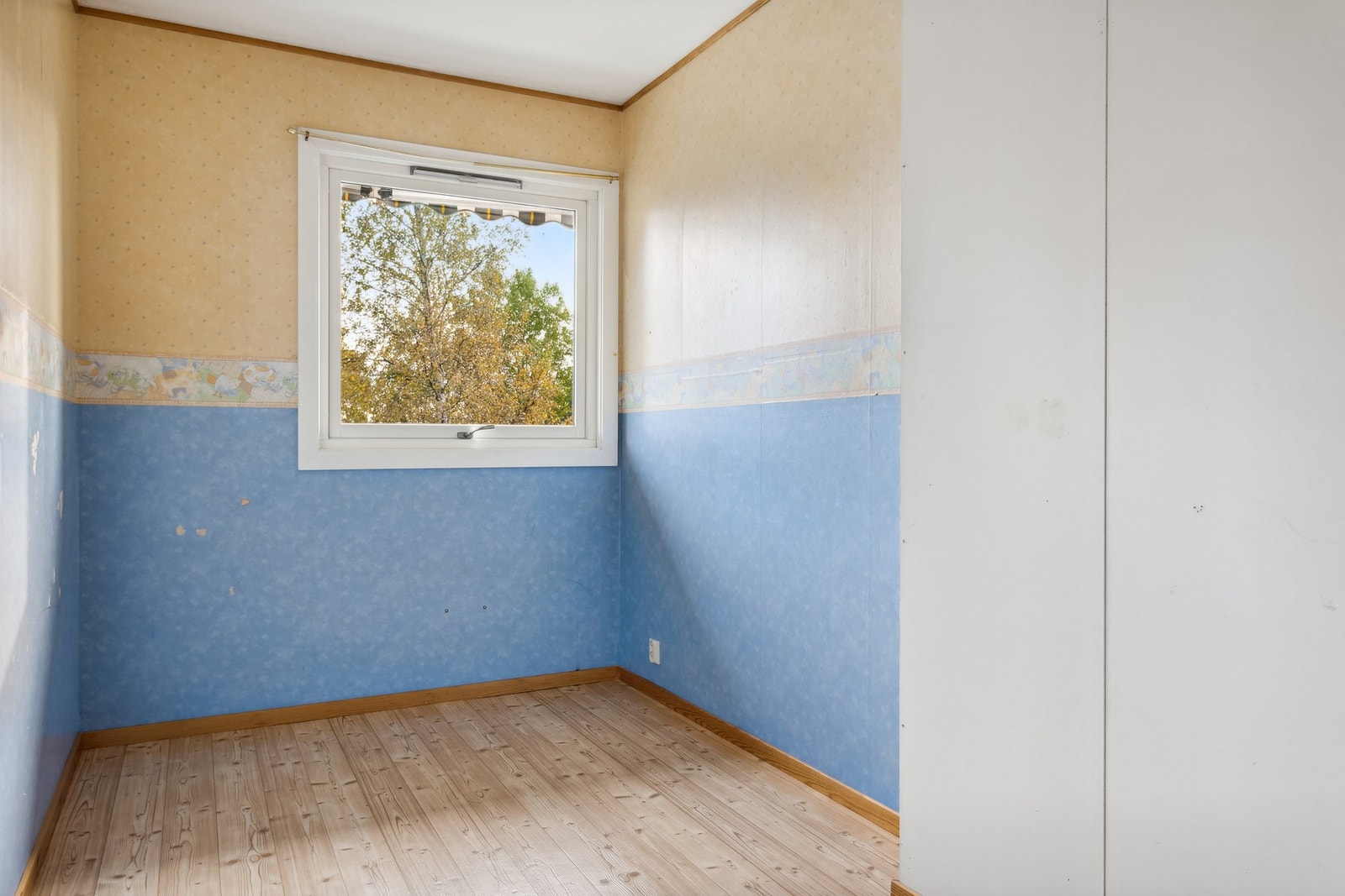 Soveorm 2 Galleribilde