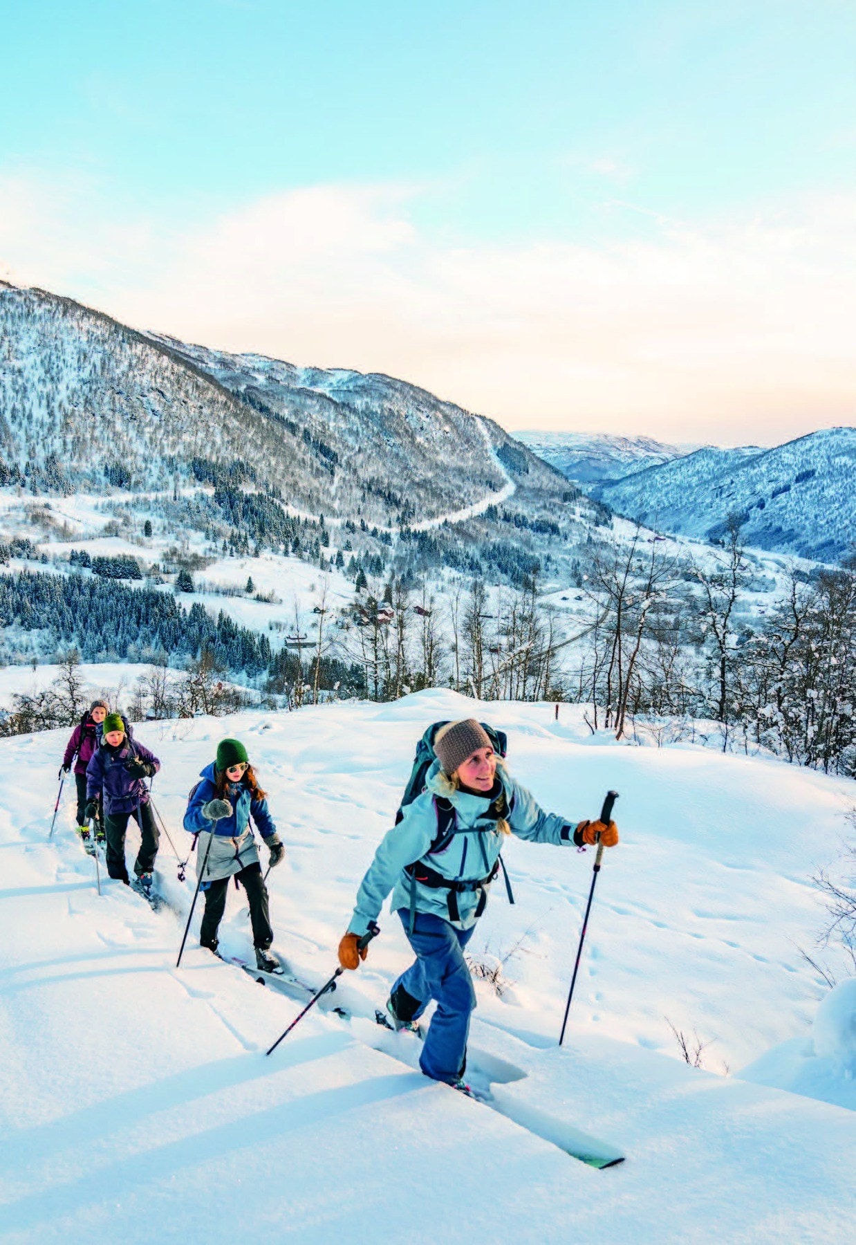 Fra Myrkdalen Galleribilde