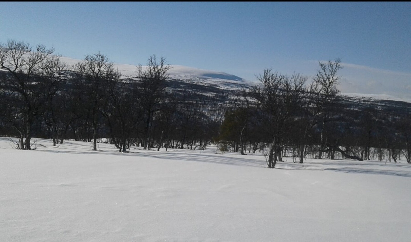 Foto fra tomteområdet Galleribilde