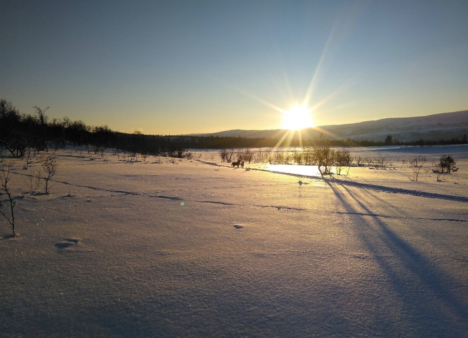 Foto fra tomteområdet Galleribilde