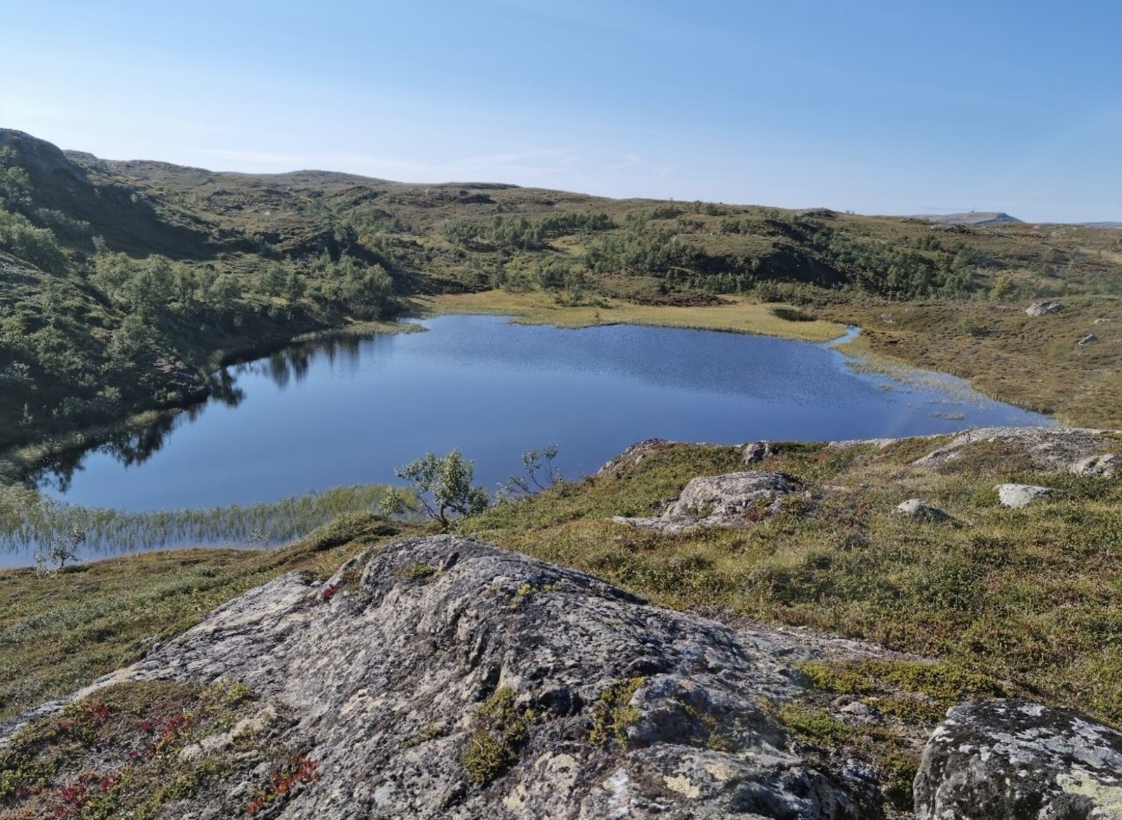 Foto fra området Galleribilde