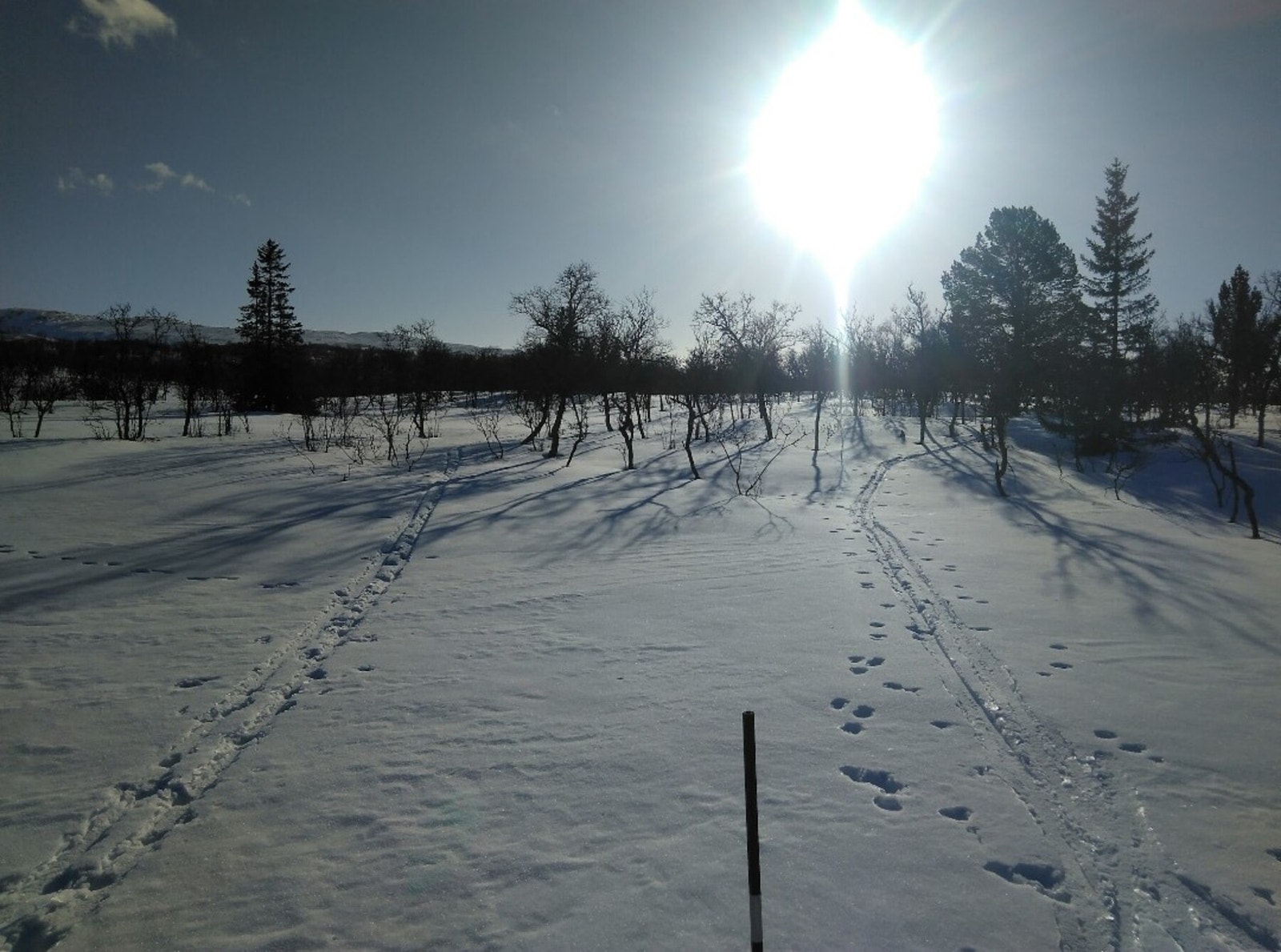 Foto fra tomteområdet Galleribilde