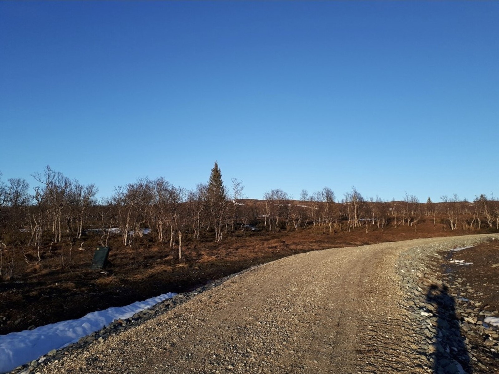 Foto fra tomteområdet Galleribilde