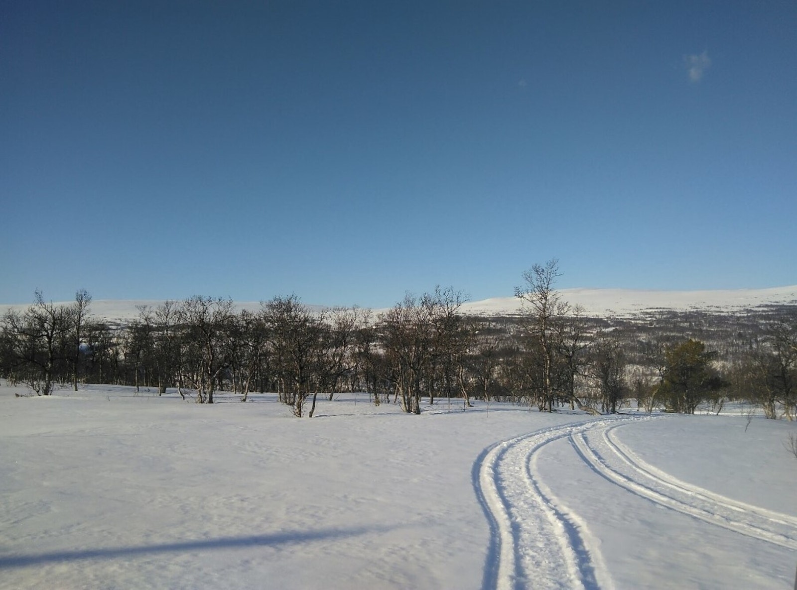 Foto fra tomteområdet Galleribilde