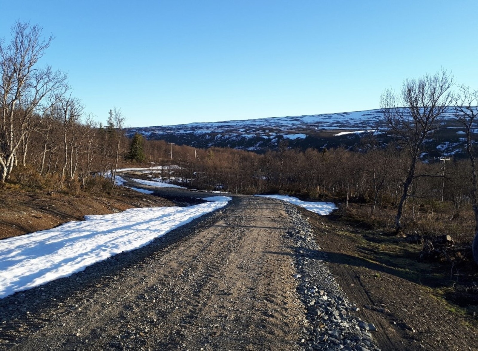 Foto fra tomteområdet Galleribilde