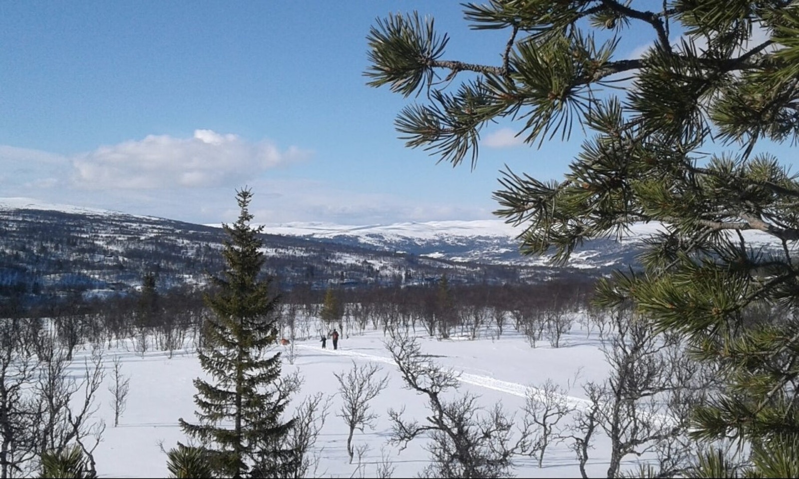 Foto fra tomteområdet Galleribilde