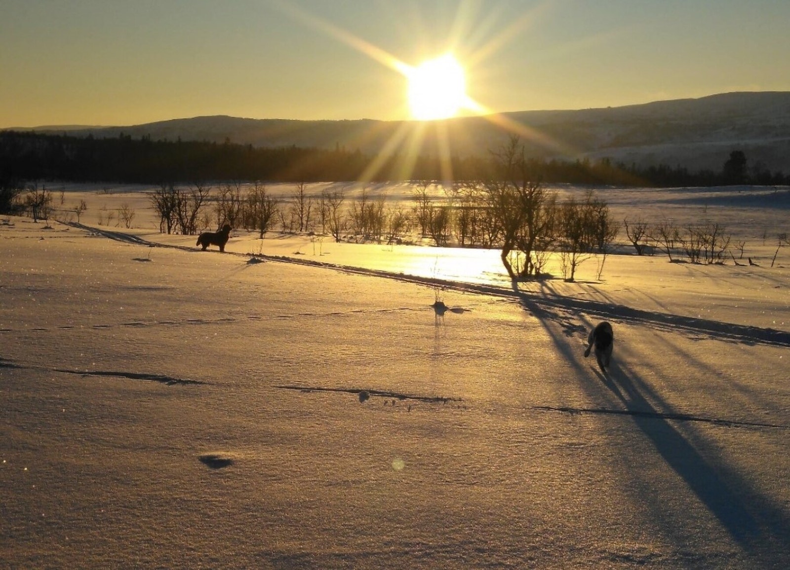 Foto fra tomteområdet Galleribilde