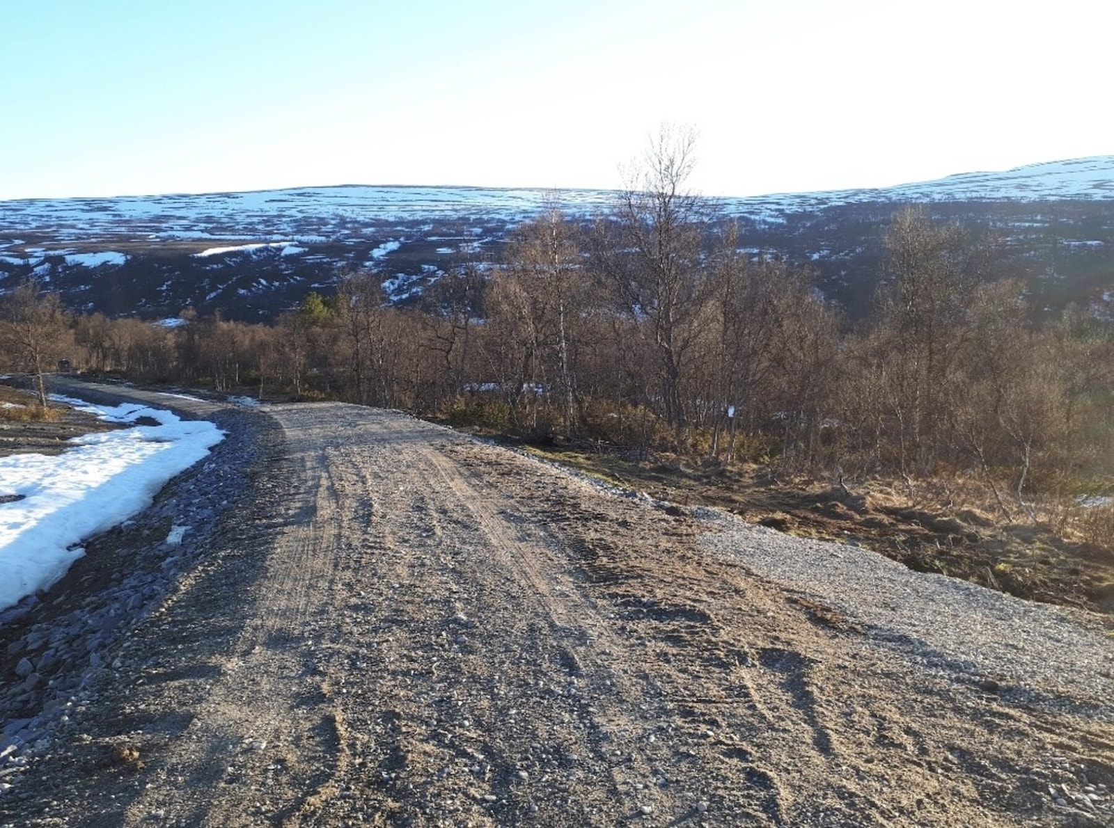 Foto fra tomteområdet Galleribilde