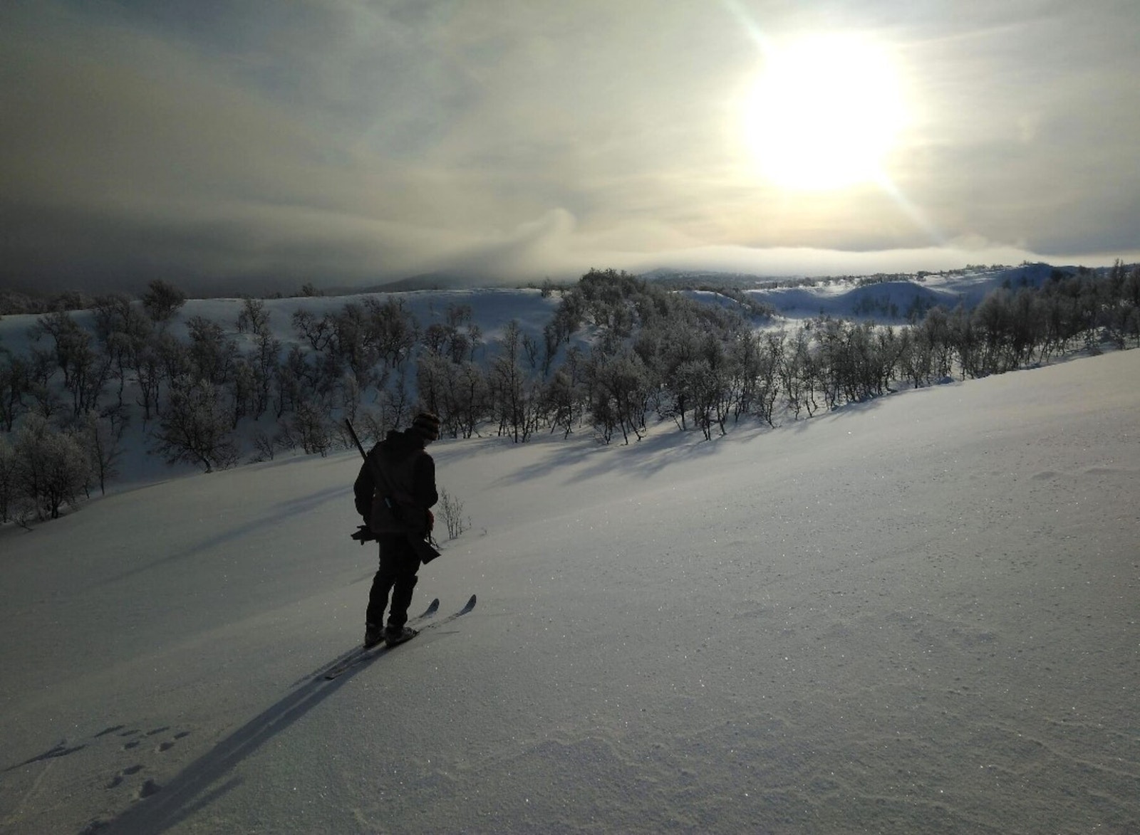 Foto fra tomteområdet Galleribilde