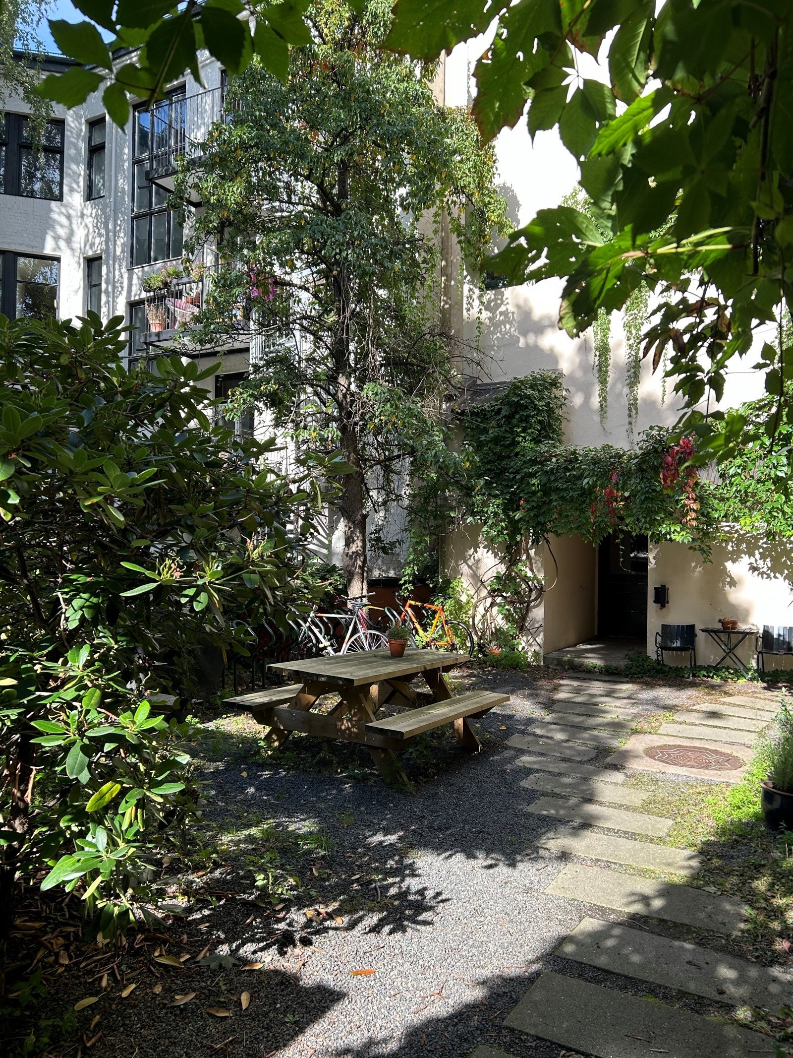 Flott bakgård Galleribilde