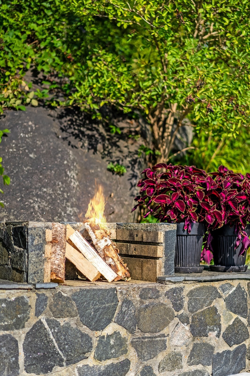 Terrasse Galleribilde