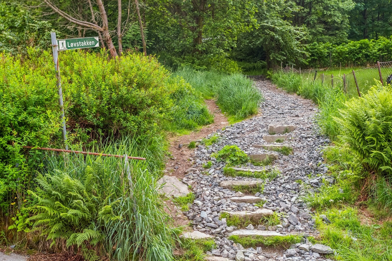 - Det er flere fine turmuligheter i området, med blant annet Løvstien og Løvstakken rett ved Galleribilde