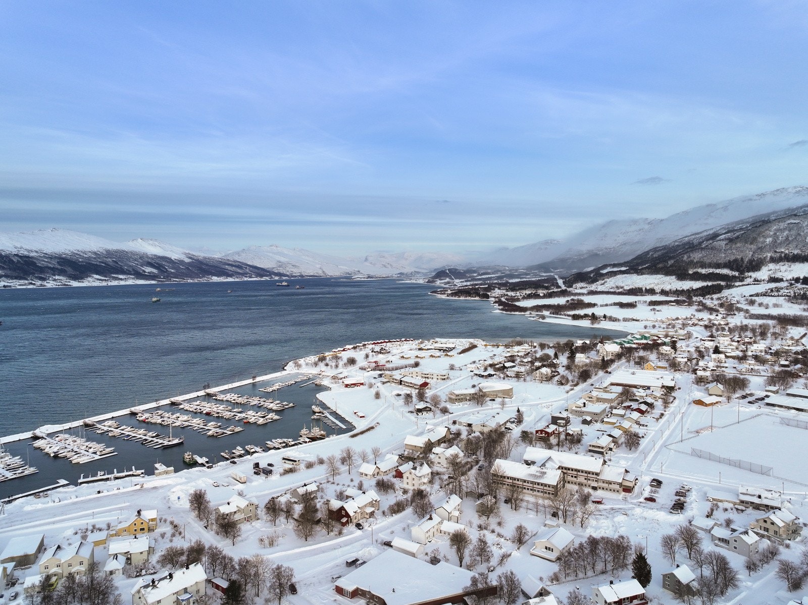 Nærområdet Galleribilde