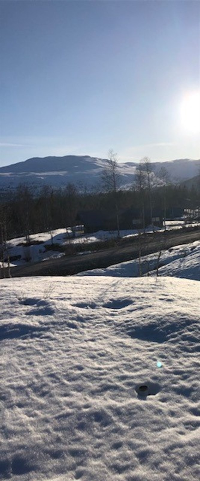 Svånuten. Galleribilde