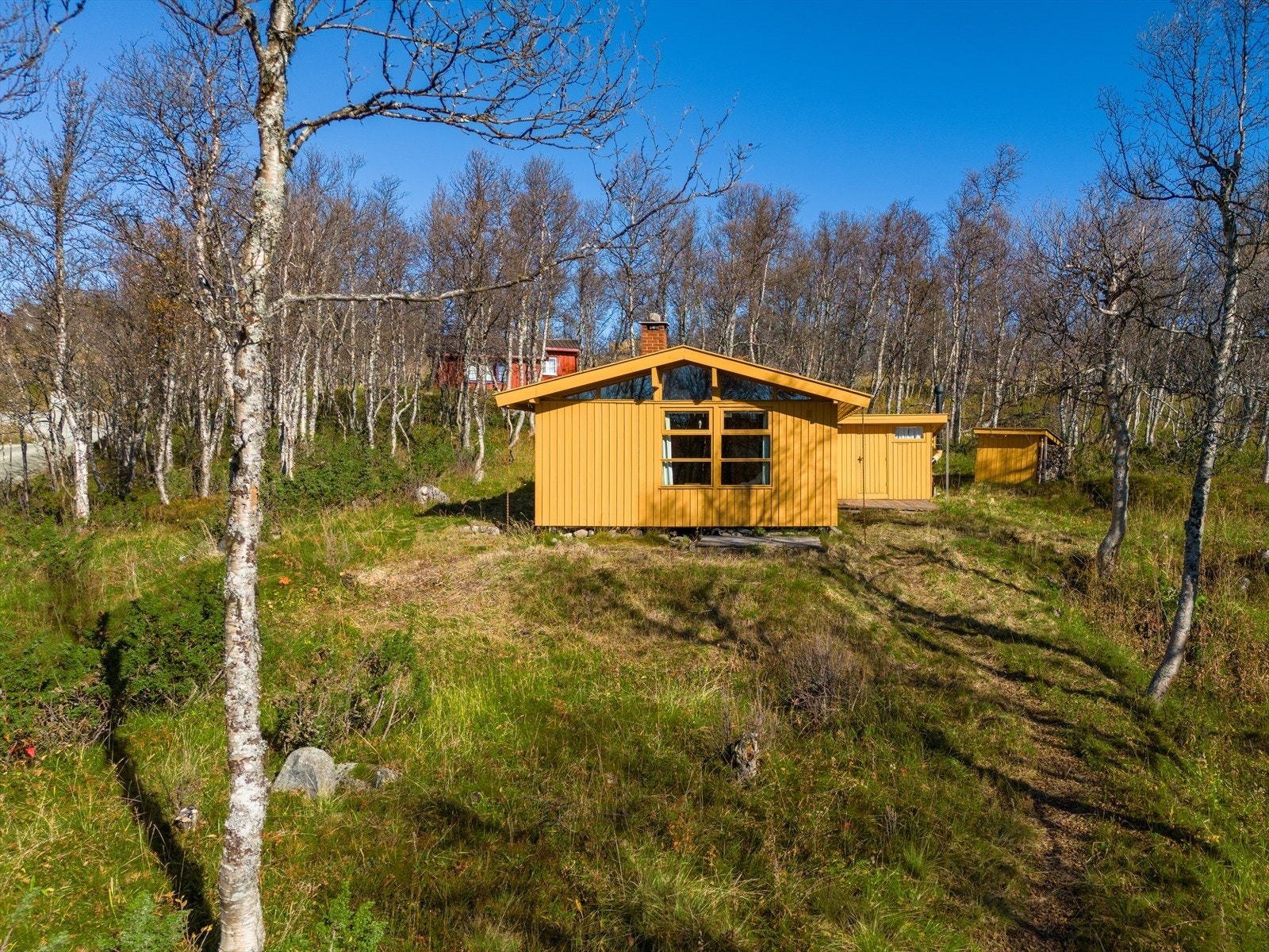 Eiet tomt på 2414 m². Naturtomt Galleribilde