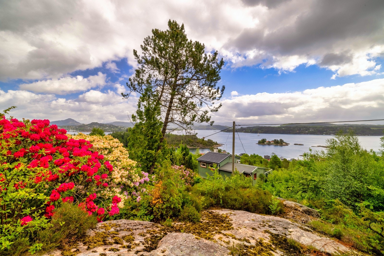 Tomten på 826 m² er opparbeidet med vakre planter, trær og ikke minst storslåtte Rhododendron Galleribilde