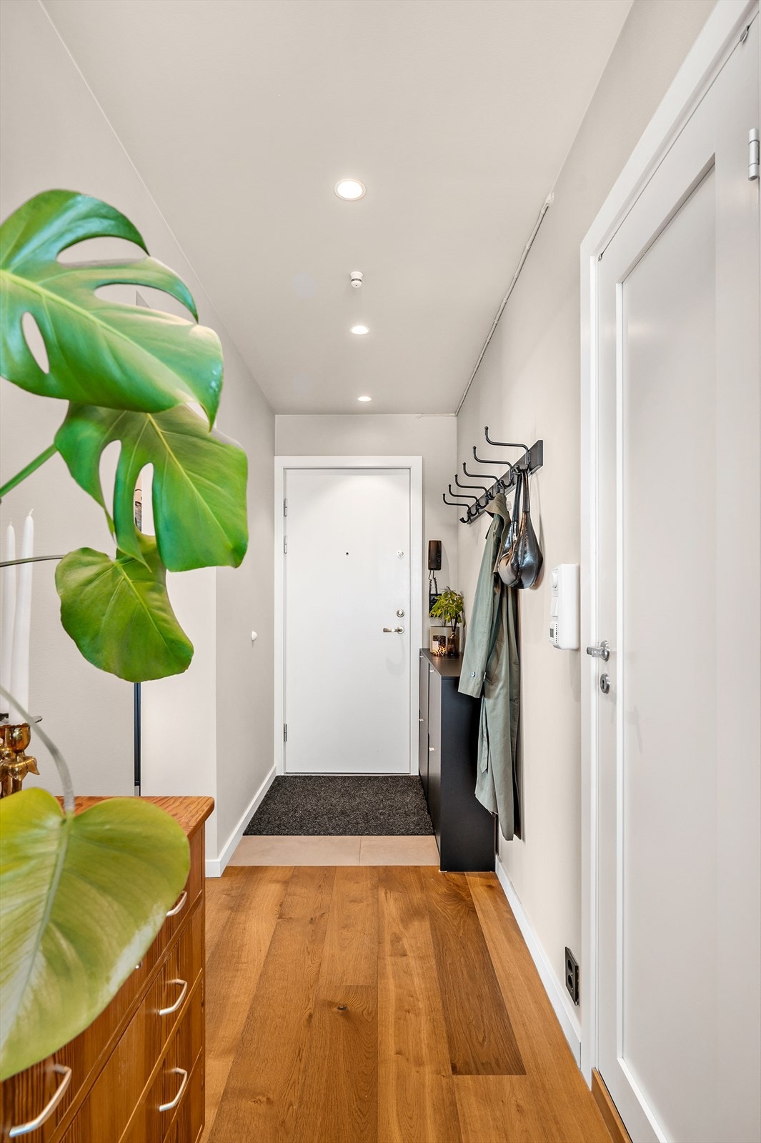 - Gang med spotter i tak - Galleribilde