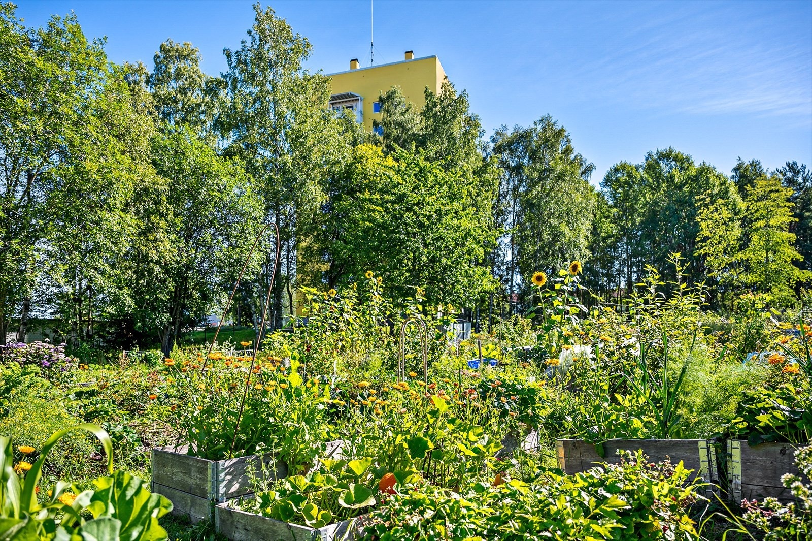 - Nærområde - Galleribilde