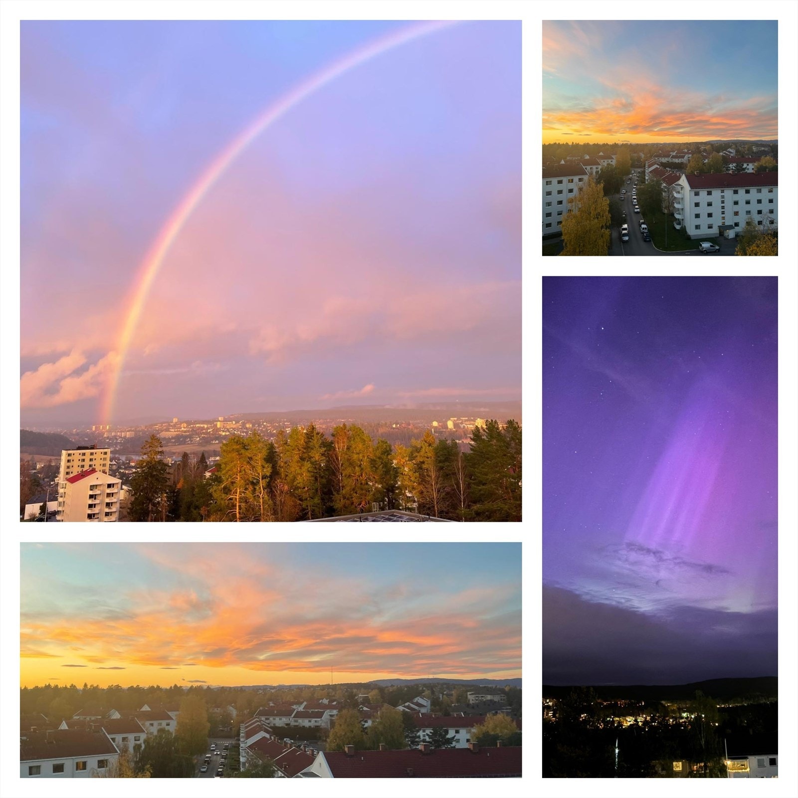 Selgers egne bilder Galleribilde