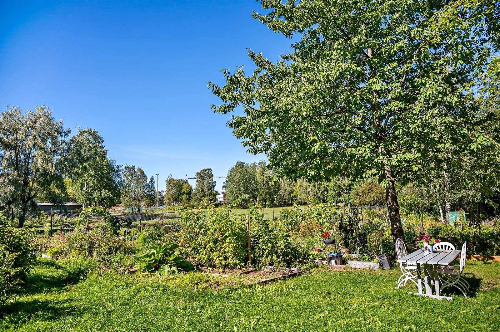 - Felles grøntområder like i nærheten - Galleribilde