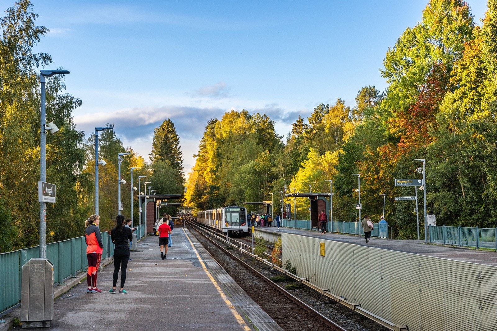 Omradebilde Galleribilde