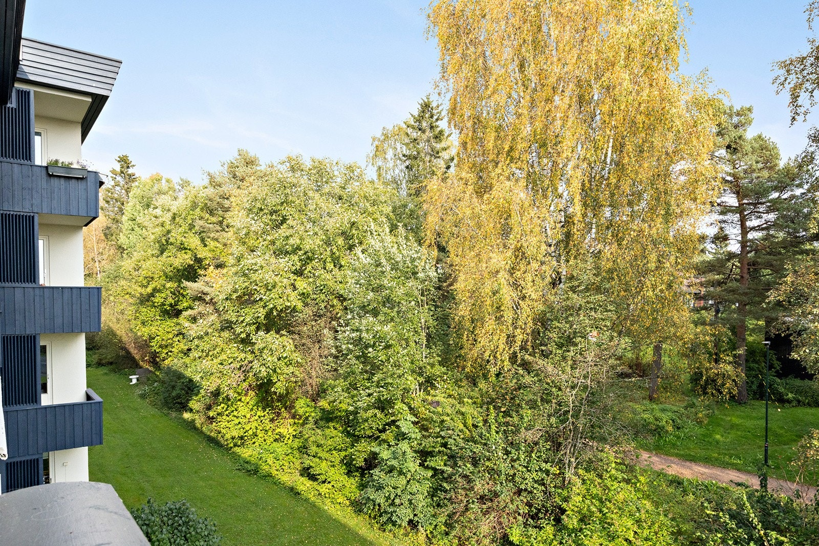 Omradebilde Galleribilde