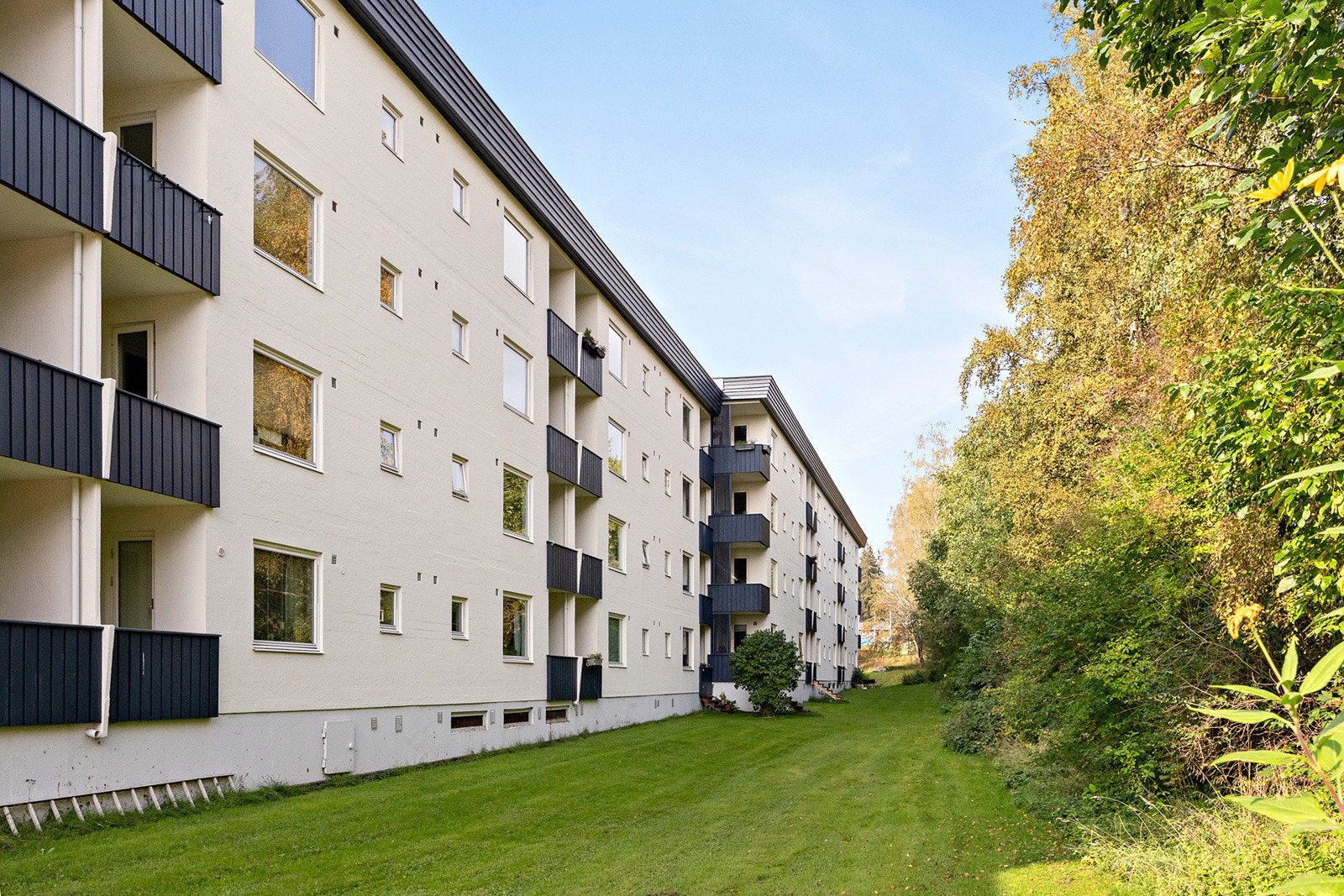 Omradebilde Galleribilde