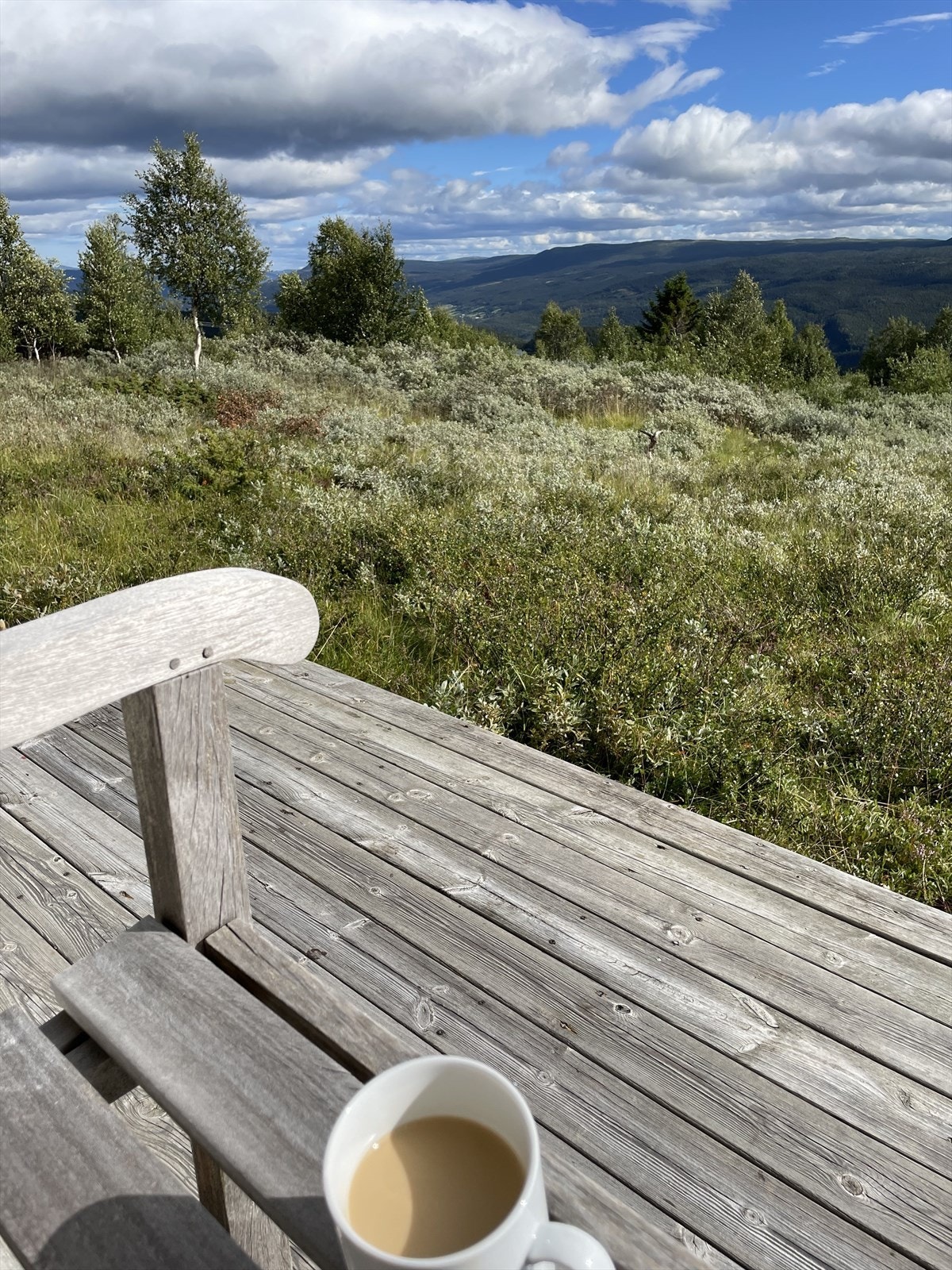 På terrassen på nedsiden av hytta kan man nyte de gode solforholdene med en kopp kaffe. (Selgers eget bilde) Galleribilde