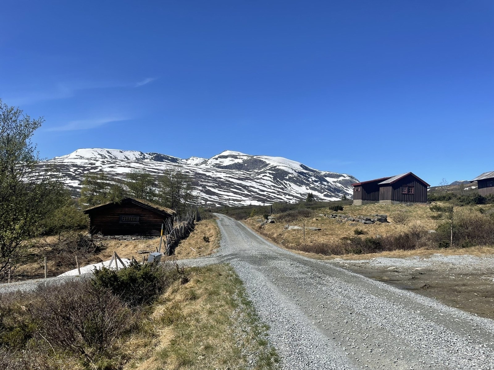 Det er nydelig å sykle på de mange stølsveiene på Slettefjell. (Selger eget bilde) Galleribilde