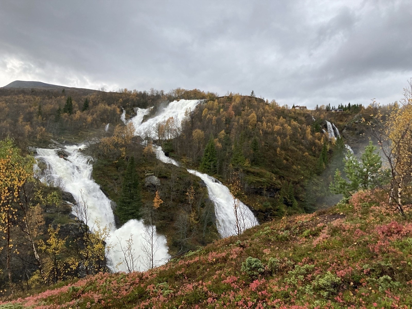 Tyinkrysset/Filefjell ligger ca. 40 minutter fra eiendommen. Tyinkrysset og Filefjell ligger vakkert til på fjellet mellom øst- og vestlandet, og dette området kan by på et fantastisk turterreng. Galleribilde