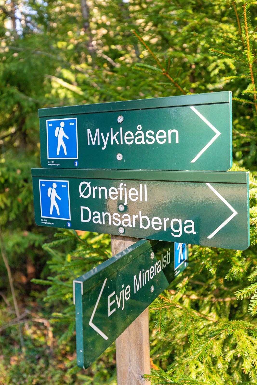 Fine utrområder like utenfor døren. Galleribilde