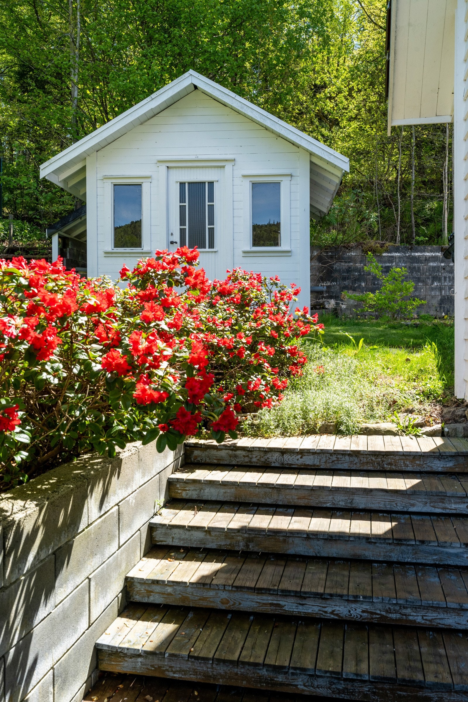 240523_213 Galleribilde