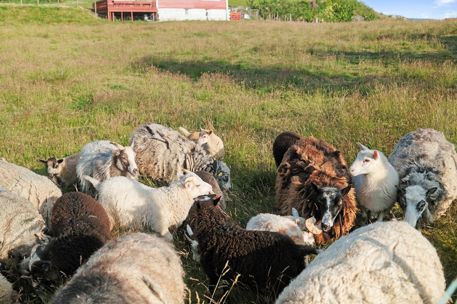 Maritime og landlige omgivelser med gangavstand til ferjekaien Galleribilde