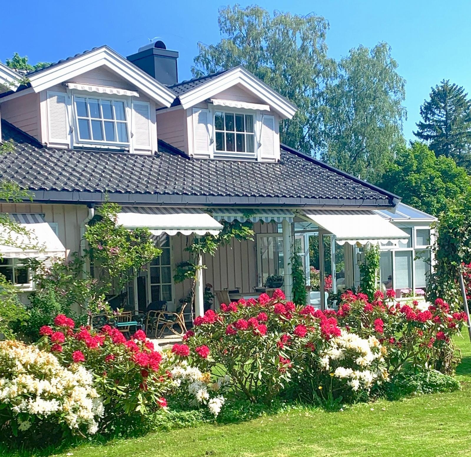 Sommeridyll, selgers bilde Galleribilde