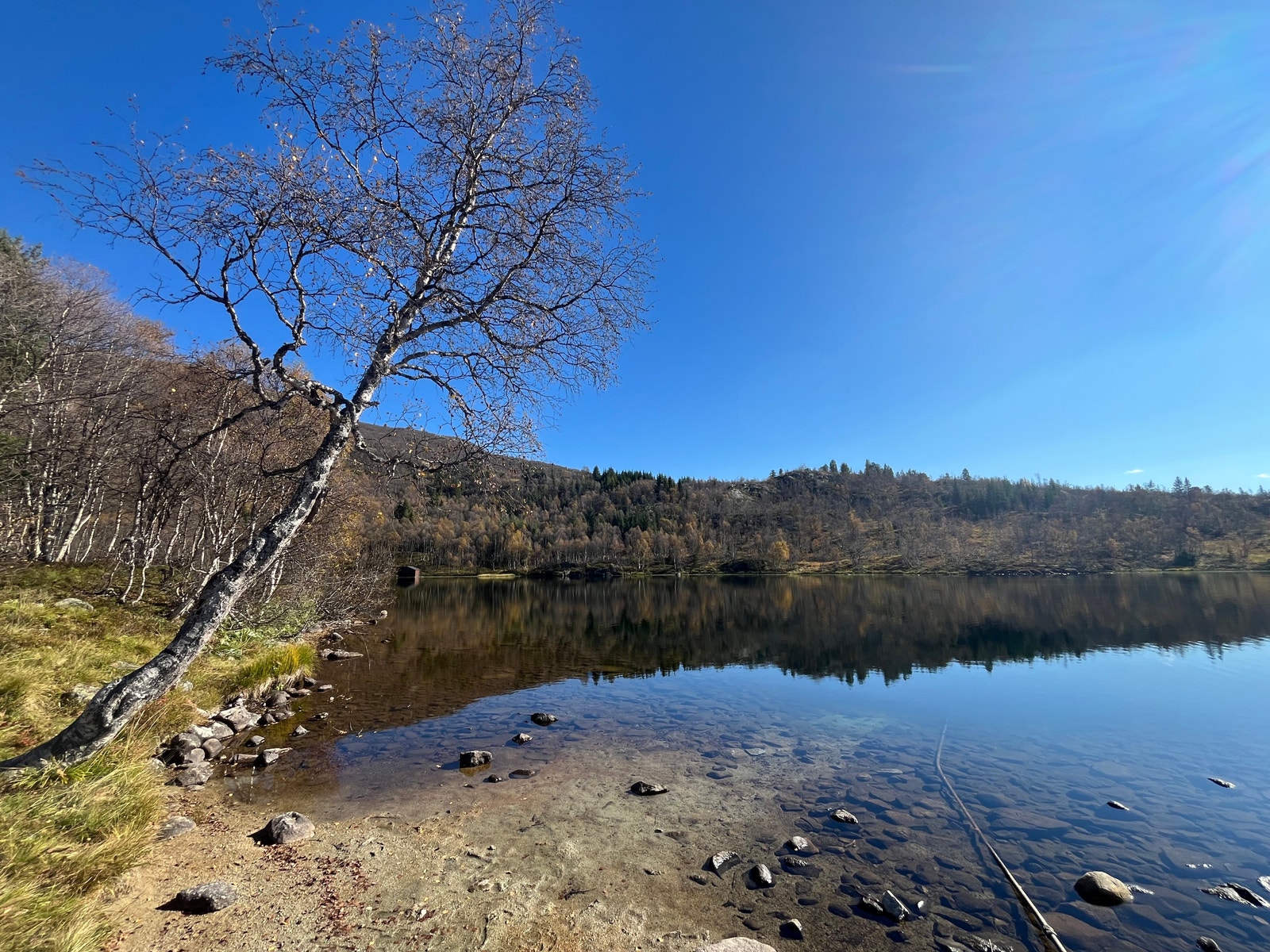 Nært og idyllisk inntil vassdraget Galleribilde