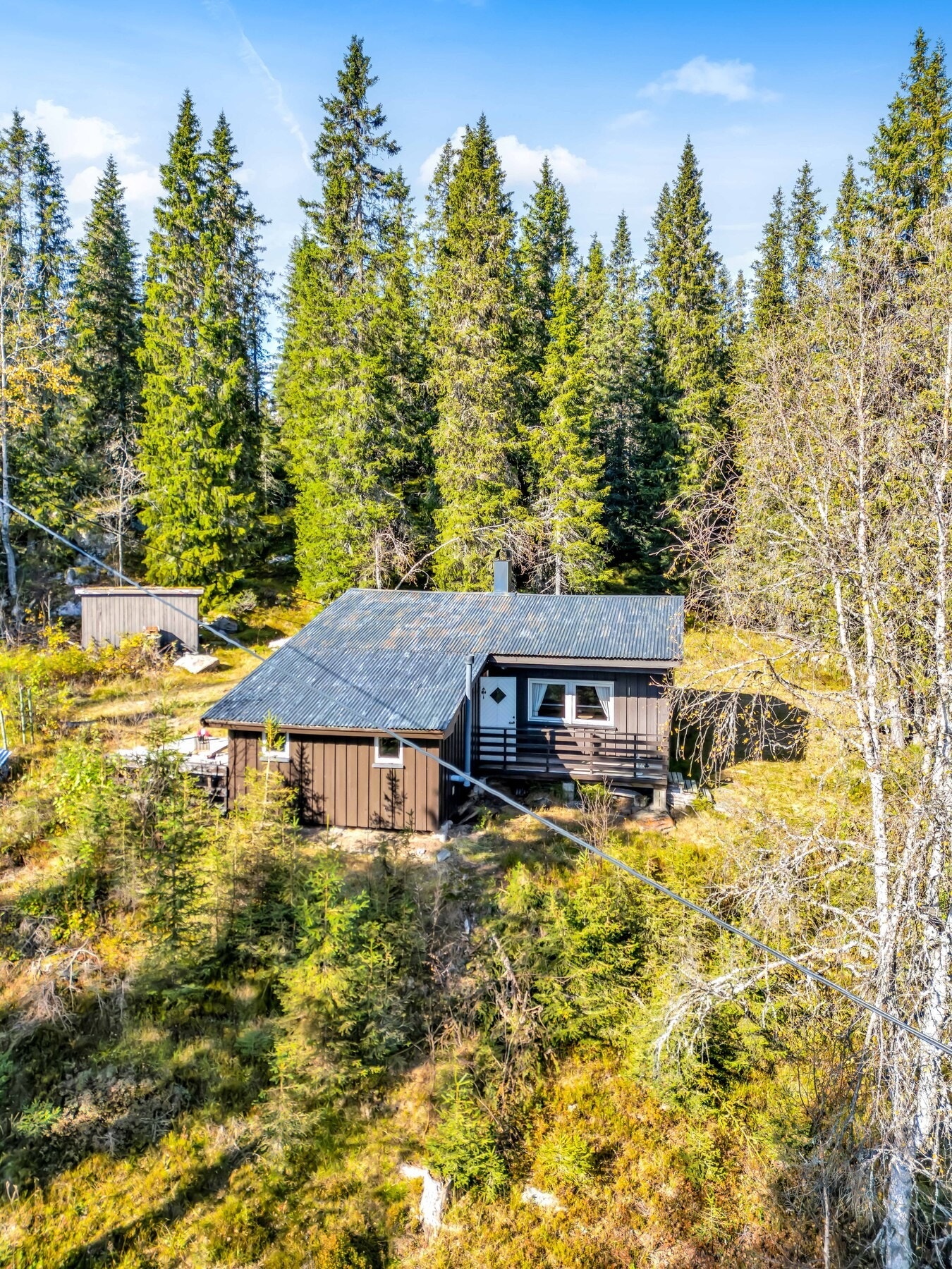 Naturen som nærmeste nabo. Galleribilde