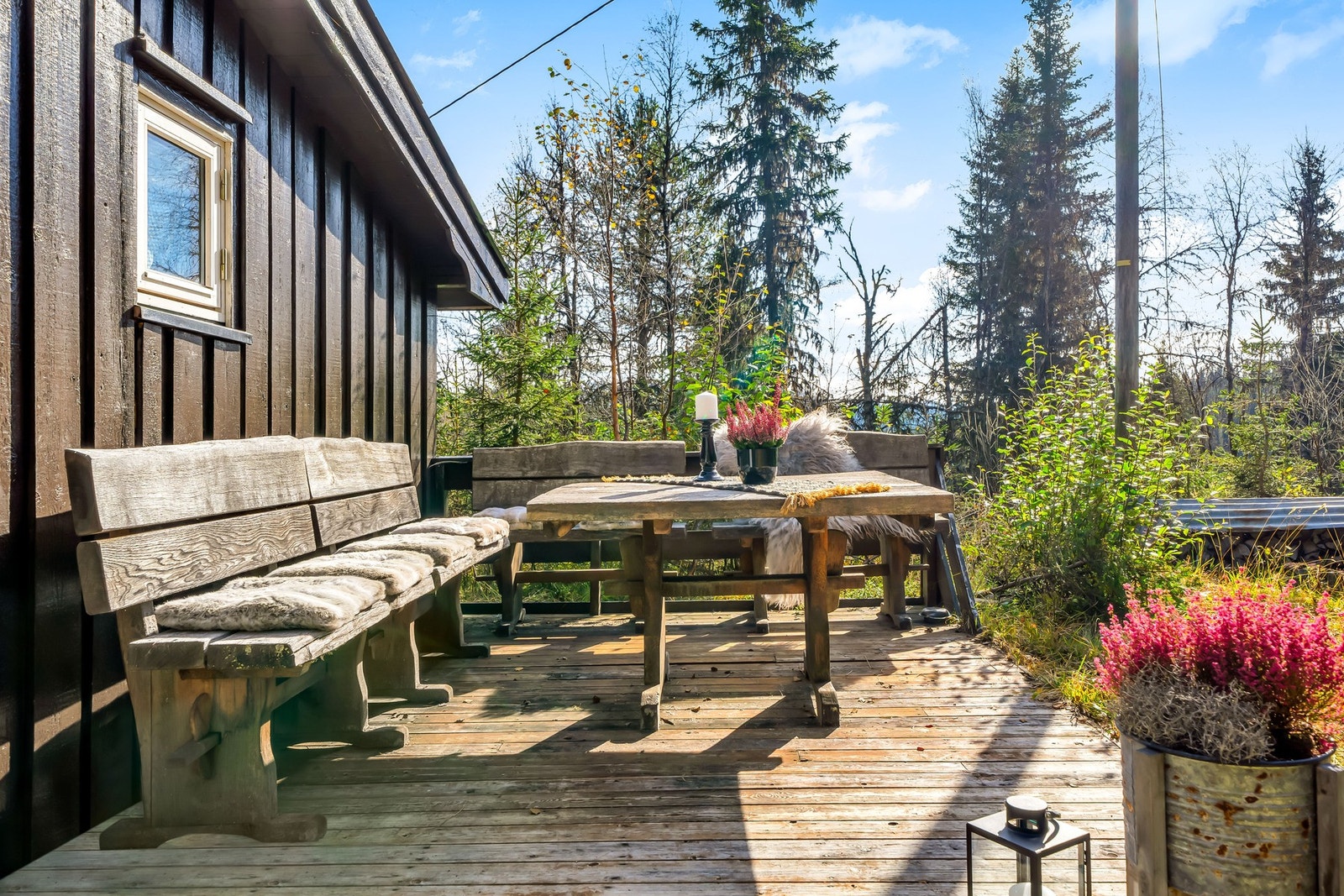 I sørvest-veggen på hytta er det godt å sitte! Galleribilde