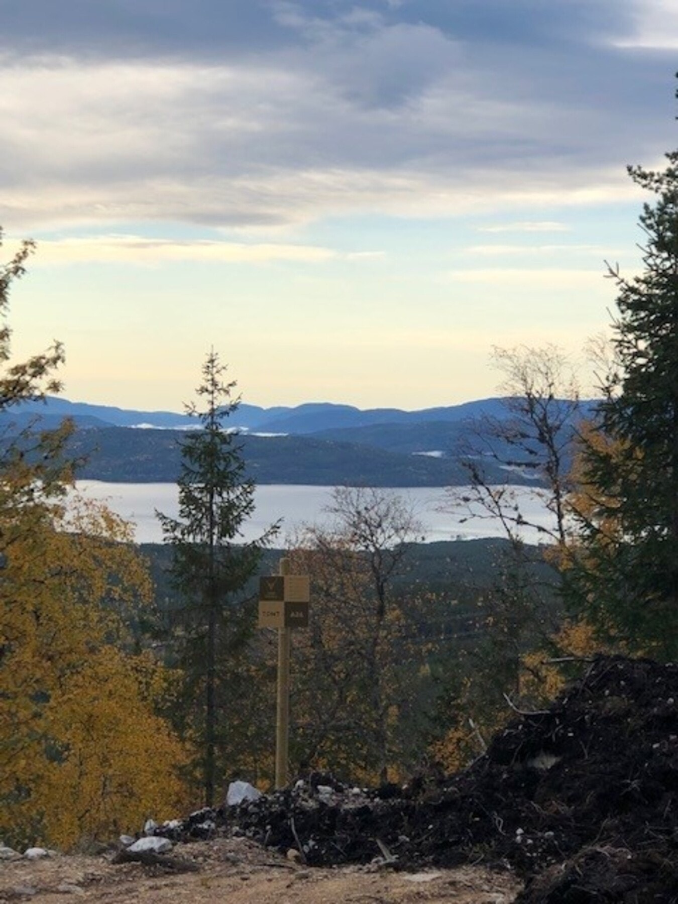 Tomtene er merket. Her fra tomt A26 Galleribilde