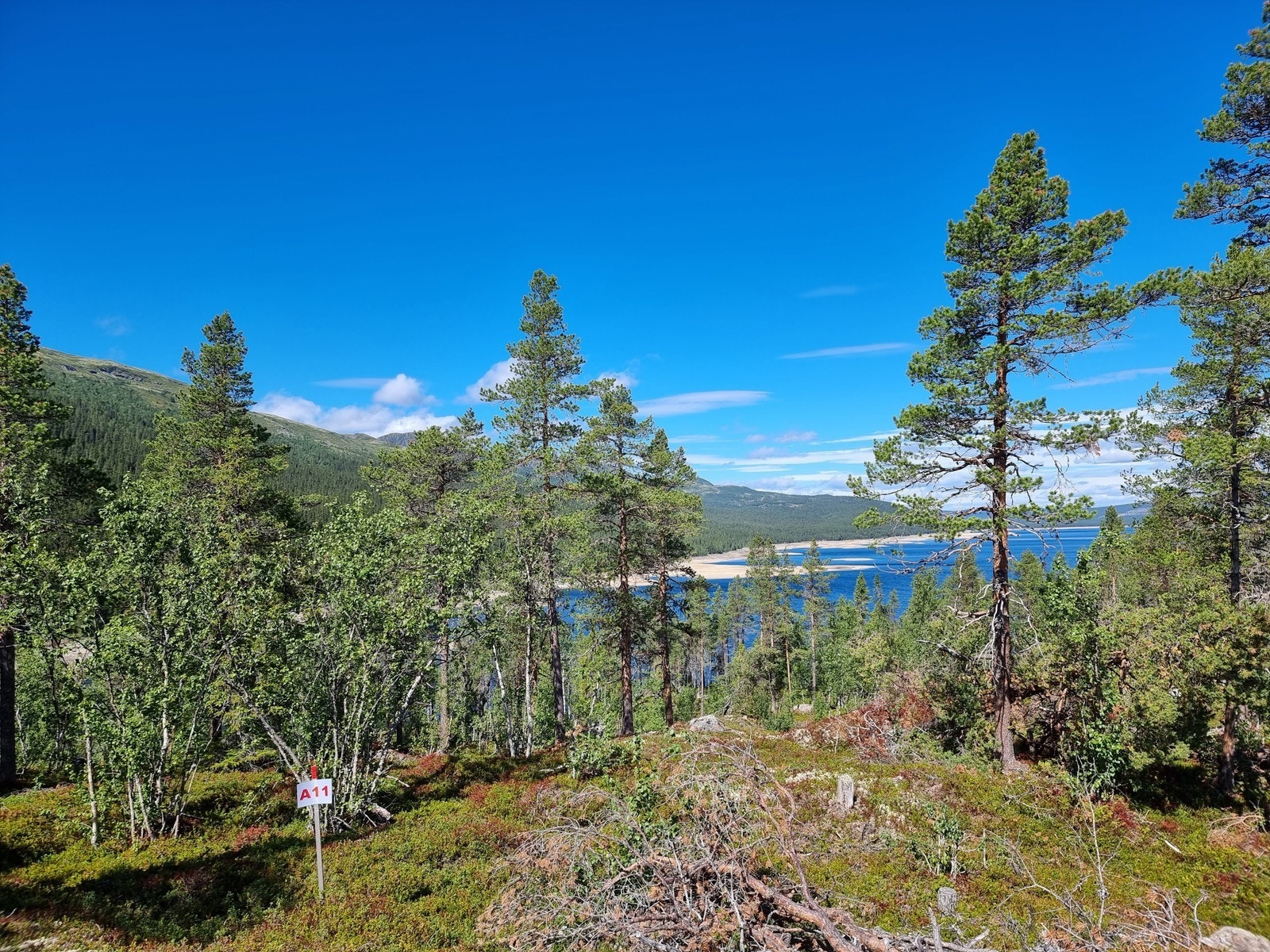 Utsikt mot nordvest Galleribilde