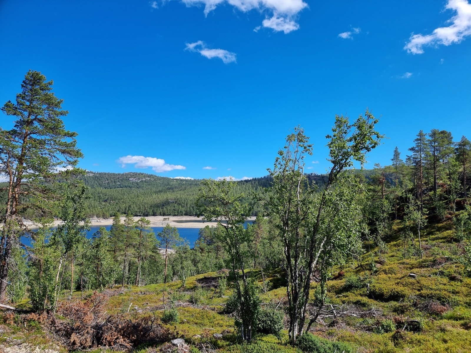 Utsikt mot øst Galleribilde