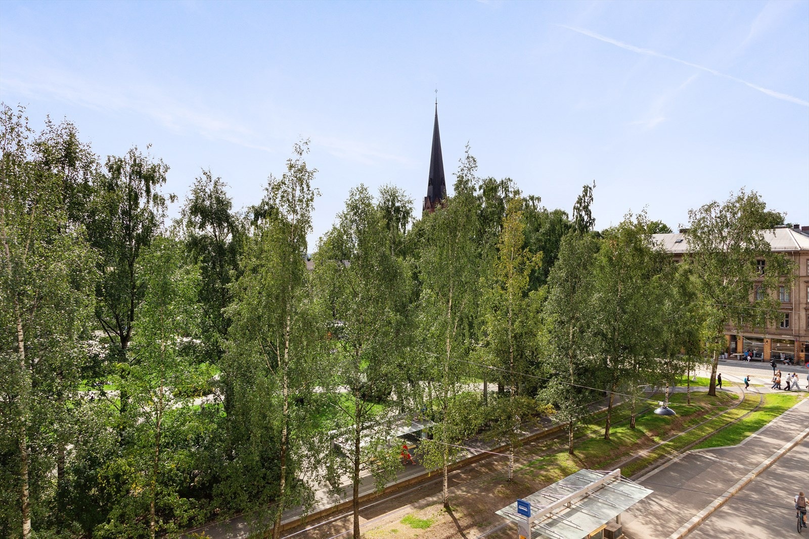 Nydelig utsikt over Birkelunden Galleribilde