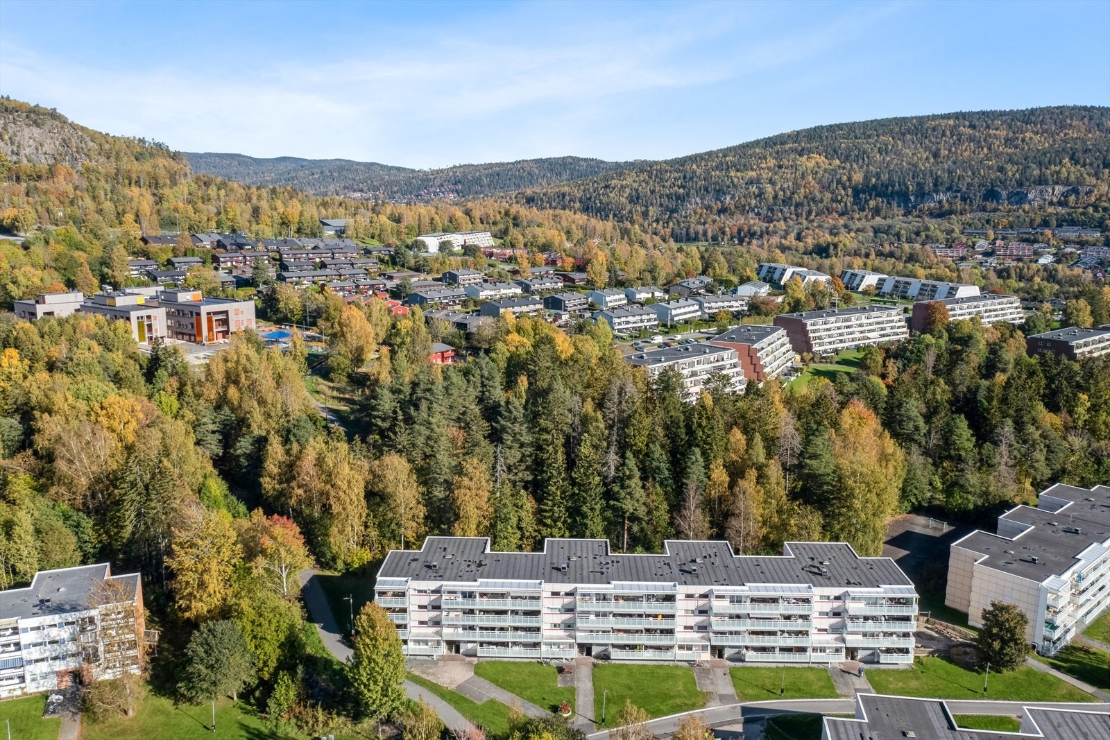 I bakkant av blokken ligger det et rolig og grønt skogholt med fine gangstier og turveier Galleribilde