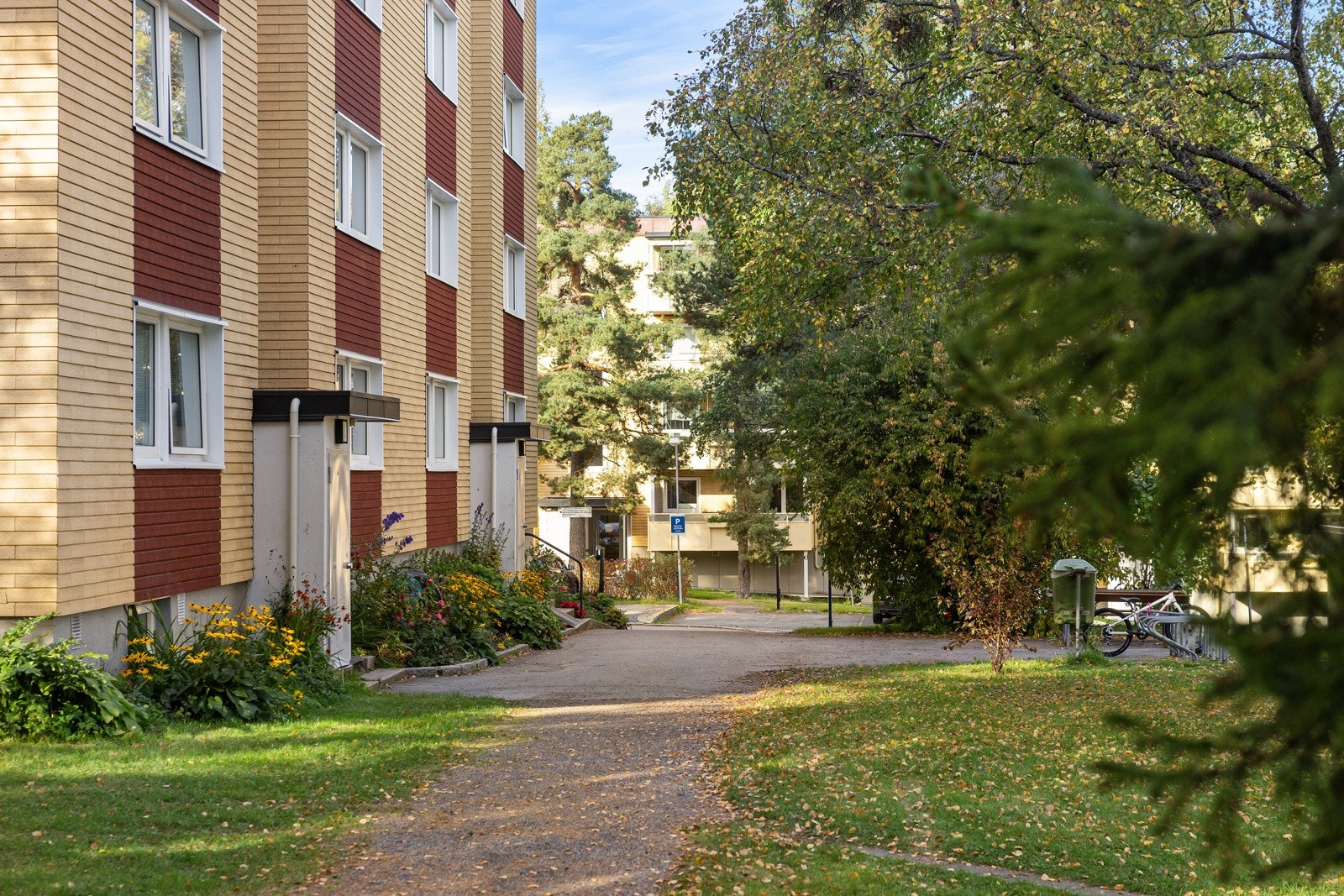 Fasade. Galleribilde