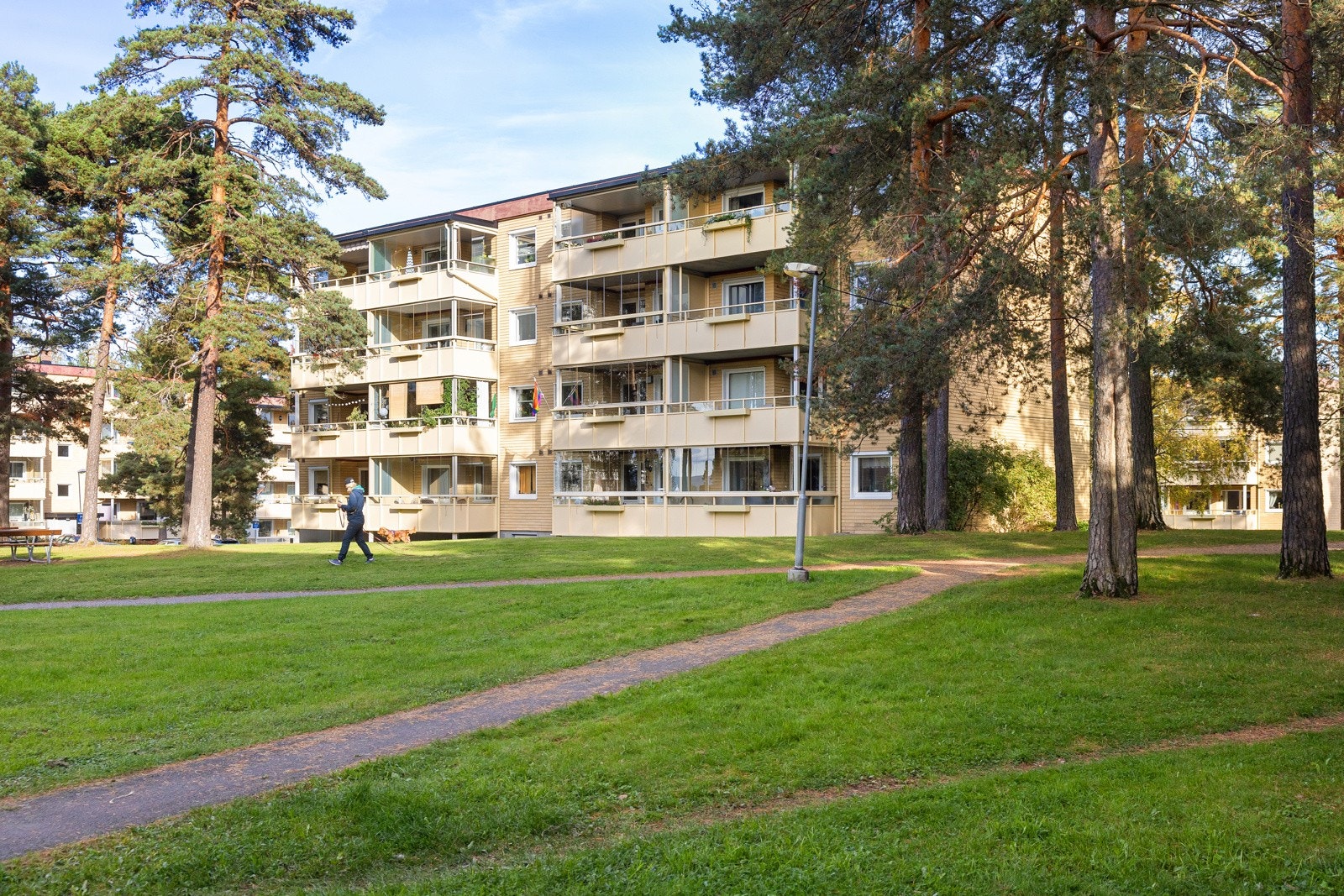 Fasade. Galleribilde