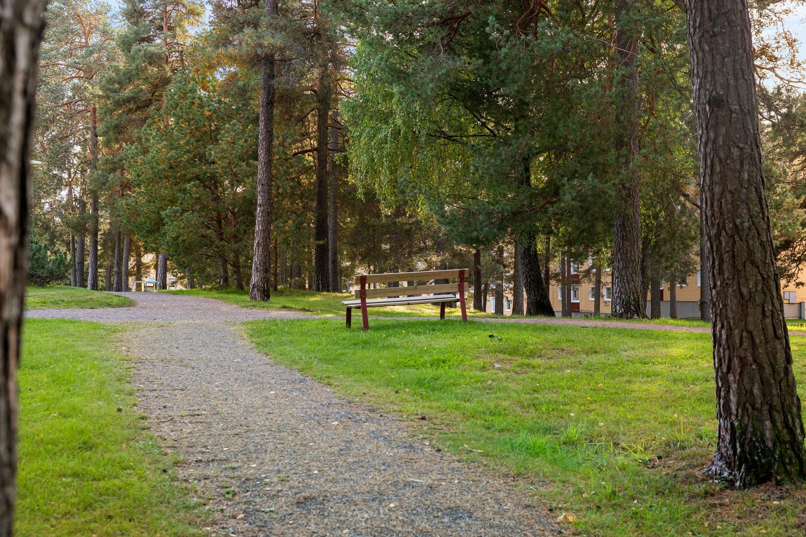 Fellesområde. Galleribilde
